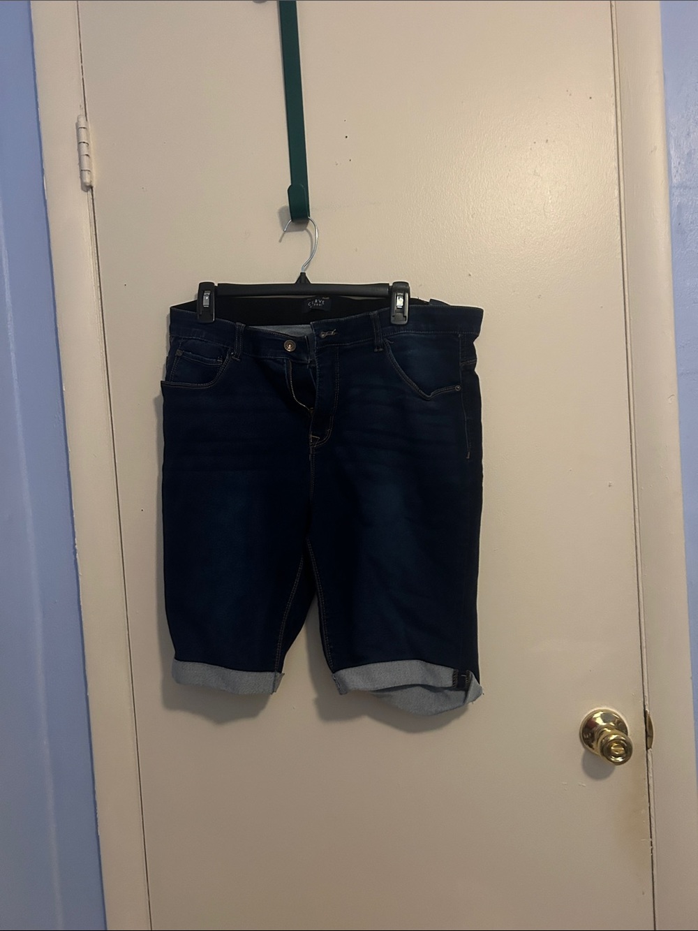 Curve Appeal 16/33 Jean Shorts